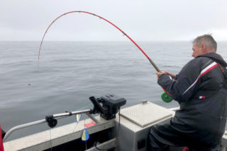QCL salmon fishing