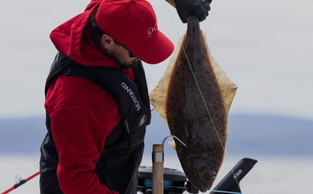 The Fishing Grounds  Bottom Fishing - Queen Charlotte Lodge